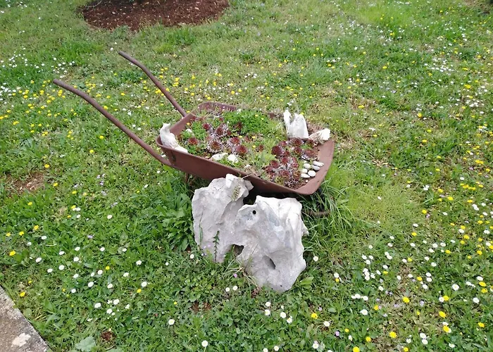 Apartman Tiziana